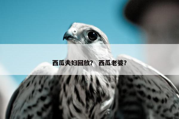 西瓜夫妇回放？ 西瓜老婆？