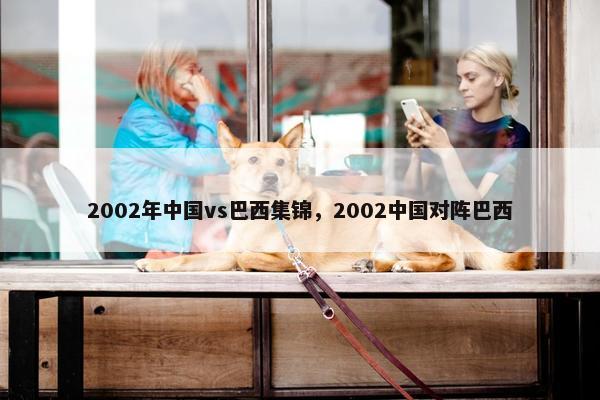 2002年中国vs巴西集锦，2002中国对阵巴西