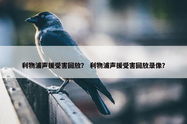 利物浦声援受害回放？ 利物浦声援受害回放录像？