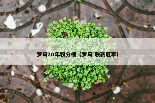 罗马20年积分榜（罗马 联赛冠军）