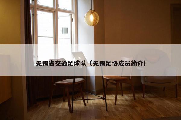 无锡省交通足球队（无锡足协成员简介）