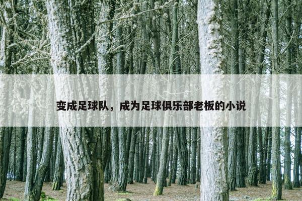 变成足球队，成为足球俱乐部老板的小说