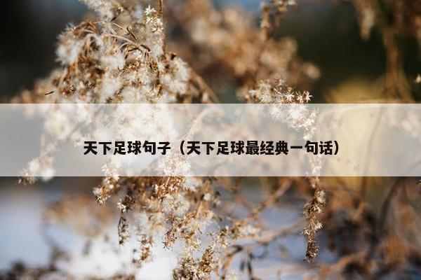 天下足球句子（天下足球最经典一句话）