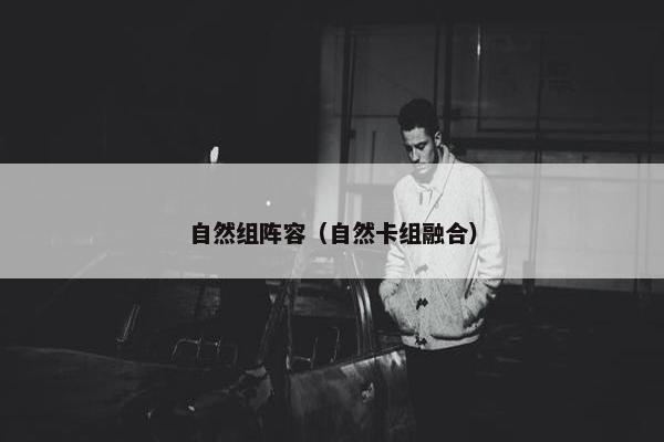 自然组阵容（自然卡组融合）