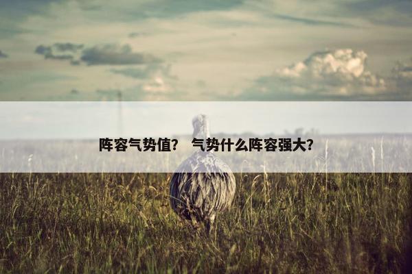 阵容气势值？ 气势什么阵容强大？