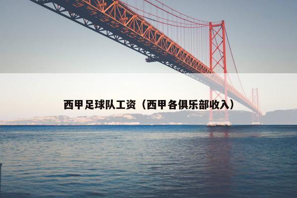 西甲足球队工资（西甲各俱乐部收入）
