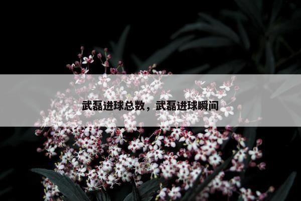 武磊进球总数，武磊进球瞬间