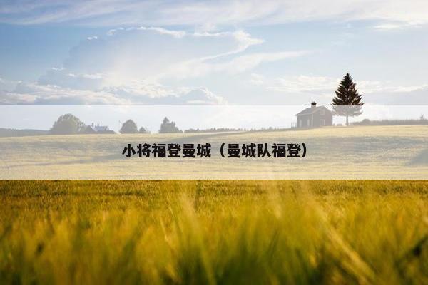 小将福登曼城（曼城队福登）