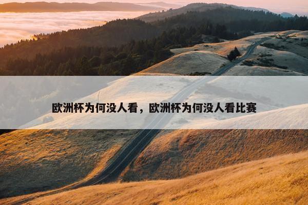 欧洲杯为何没人看，欧洲杯为何没人看比赛