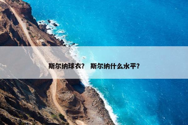 斯尔纳球衣？ 斯尔纳什么水平？