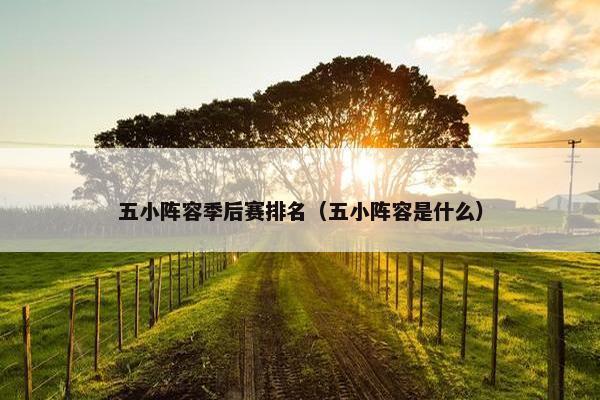 五小阵容季后赛排名（五小阵容是什么）