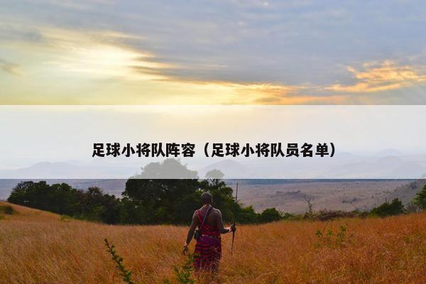 足球小将队阵容（足球小将队员名单）