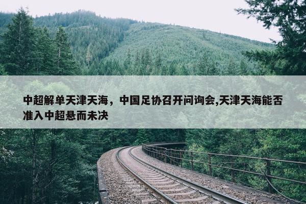 中超解单天津天海，中国足协召开问询会,天津天海能否准入中超悬而未决