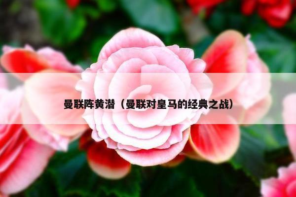 曼联阵黄潜（曼联对皇马的经典之战）
