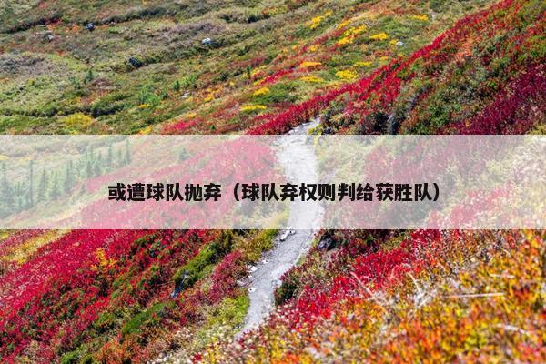 或遭球队抛弃（球队弃权则判给获胜队）