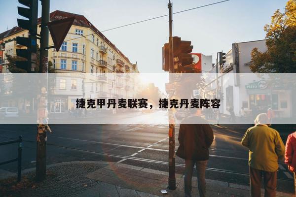 捷克甲丹麦联赛，捷克丹麦阵容