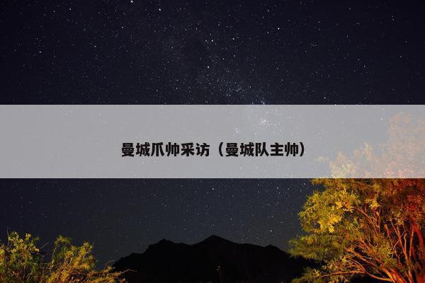 曼城爪帅采访（曼城队主帅）