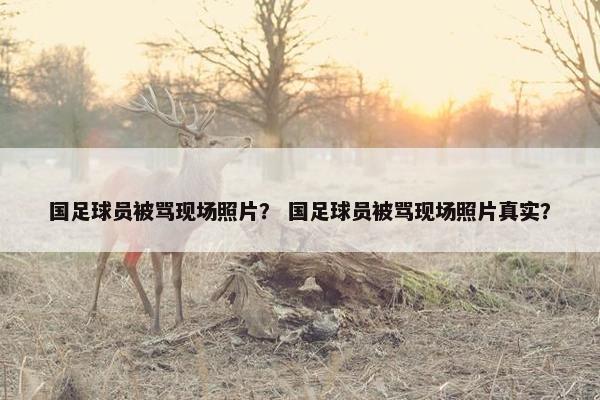 国足球员被骂现场照片？ 国足球员被骂现场照片真实？
