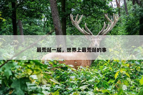 最荒诞一届，世界上最荒诞的事