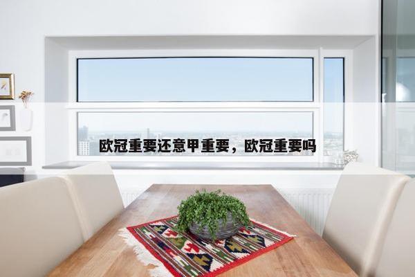 欧冠重要还意甲重要，欧冠重要吗
