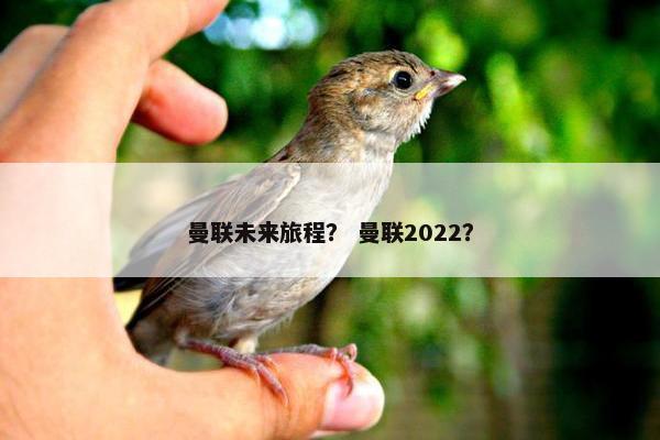 曼联未来旅程？ 曼联2022？