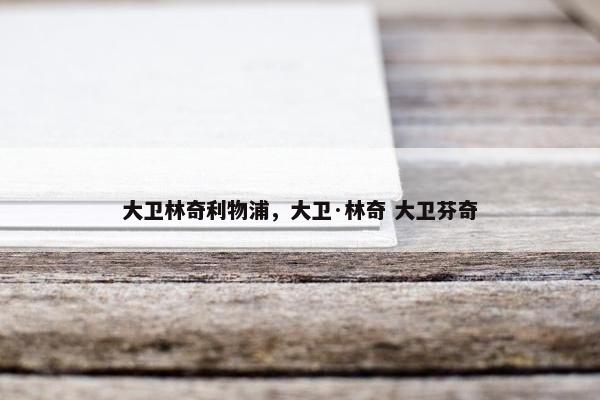 大卫林奇利物浦，大卫·林奇 大卫芬奇