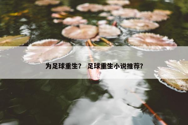 为足球重生？ 足球重生小说推荐？
