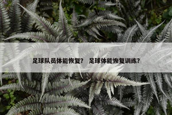 足球队员体能恢复？ 足球体能恢复训练？
