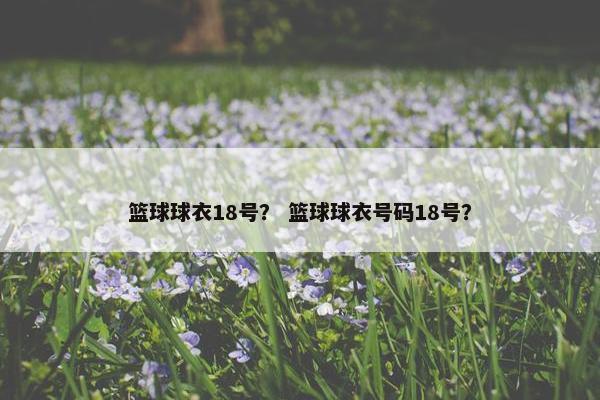 篮球球衣18号？ 篮球球衣号码18号？