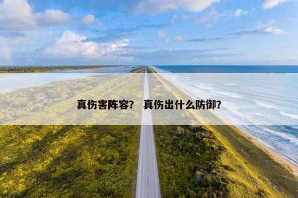 真伤害阵容？ 真伤出什么防御？