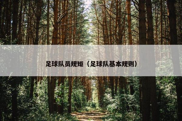 足球队员规矩（足球队基本规则）