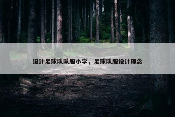 设计足球队队服小学，足球队服设计理念