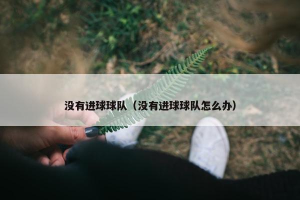 没有进球球队（没有进球球队怎么办）