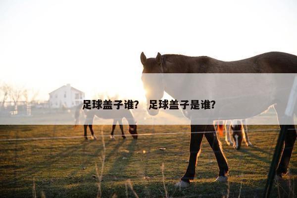 足球盖子谁？ 足球盖子是谁？