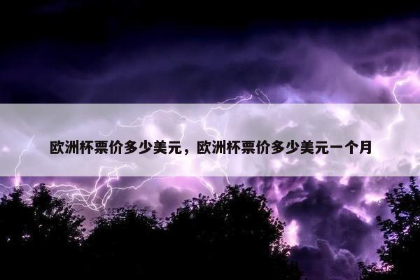 欧洲杯票价多少美元，欧洲杯票价多少美元一个月
