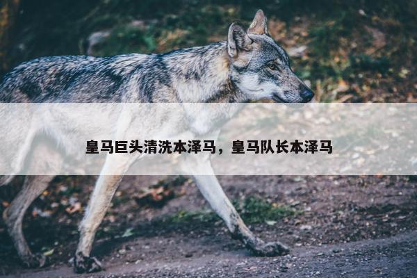 皇马巨头清洗本泽马，皇马队长本泽马