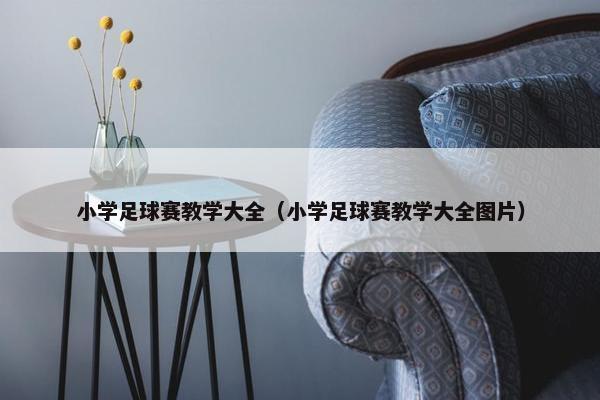 小学足球赛教学大全（小学足球赛教学大全图片）