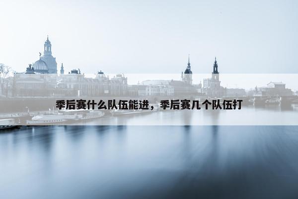 季后赛什么队伍能进，季后赛几个队伍打