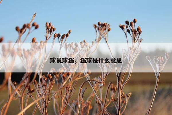 球员球挡，挡球是什么意思