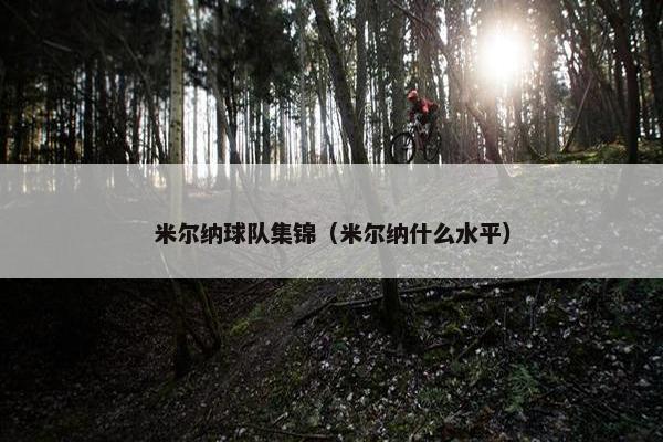 米尔纳球队集锦（米尔纳什么水平）