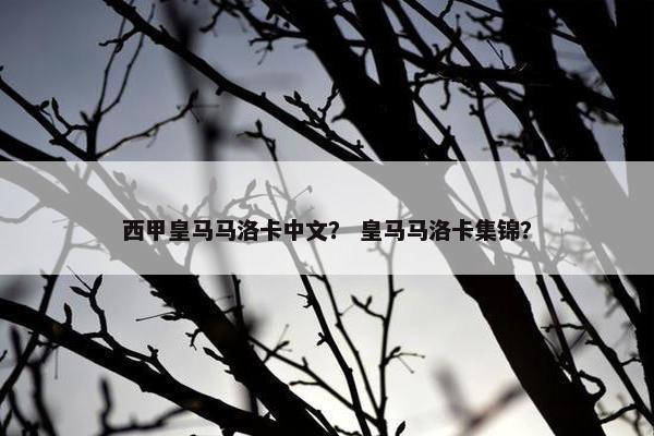 西甲皇马马洛卡中文？ 皇马马洛卡集锦？