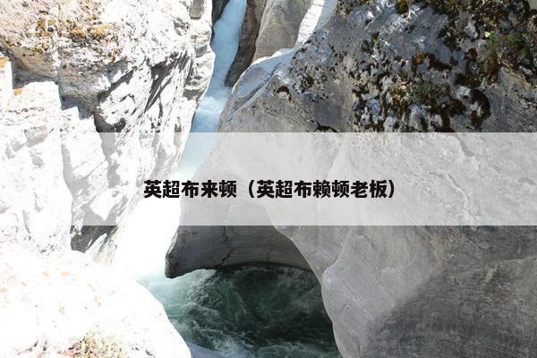 英超布来顿（英超布赖顿老板）