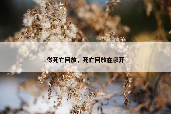 做死亡回放，死亡回放在哪开