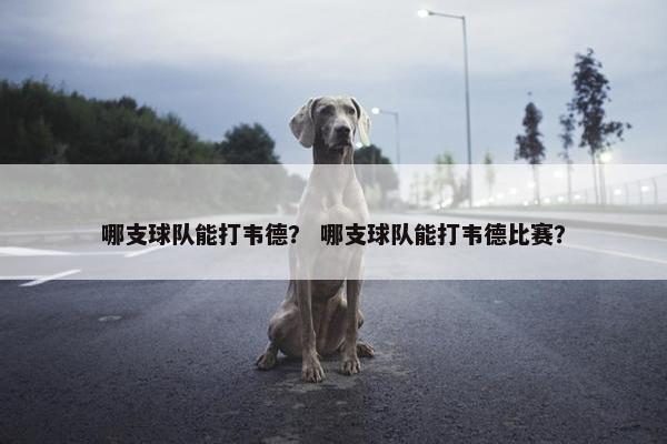 哪支球队能打韦德？ 哪支球队能打韦德比赛？