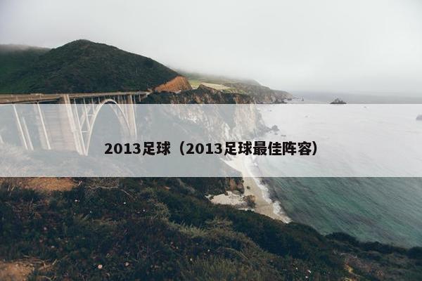 2013足球（2013足球最佳阵容）