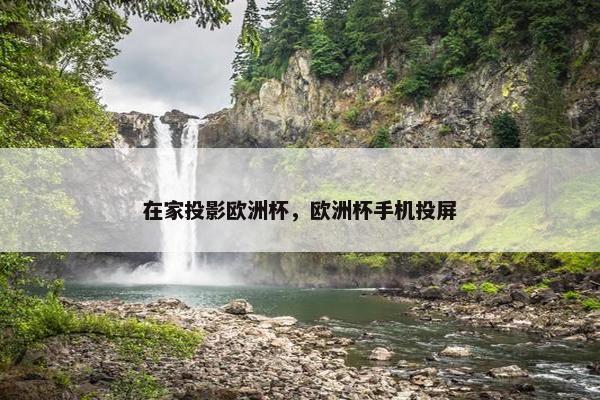 在家投影欧洲杯，欧洲杯手机投屏