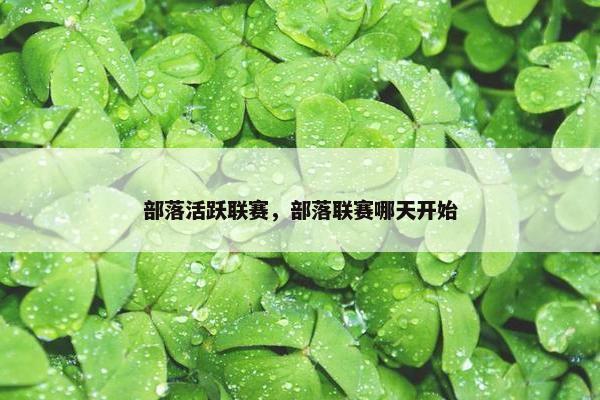 部落活跃联赛，部落联赛哪天开始