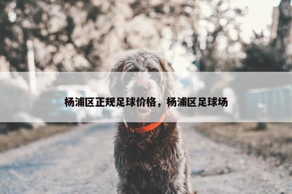 杨浦区正规足球价格，杨浦区足球场