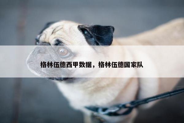 格林伍德西甲数据，格林伍德国家队