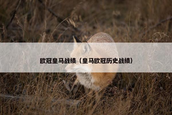 欧冠皇马战绩（皇马欧冠历史战绩）